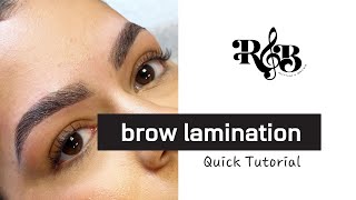 Thuya Brow Lamination  Tint Tutorial [upl. by Pricilla]