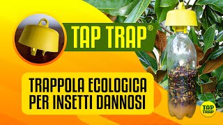 Tap Trap  trappola ECOLOGICA per insetti [upl. by Aled395]