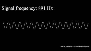 20Hz to 20kHz Human Audio Spectrum [upl. by Soigroeg487]