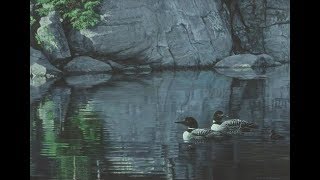 21 Northern Reflections by Robert Bateman [upl. by Hsiri264]