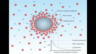 Lec 5 COLLOIDS  Electrical properties and Zeta potential شرح بالعربي [upl. by Achorn]