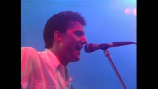 OMD  Messages Live at Sheffield City Hall  14061985 [upl. by Wedurn]