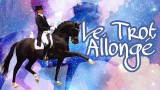 TUTO COMMENT faire et améliorer un TROT ALLONGE [upl. by Enyrhtac]