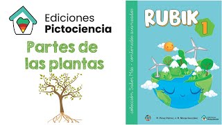 Partes de las plantas SABER MÁS  ACM 1 ✔ PICTOCIENCIA [upl. by Akemat]