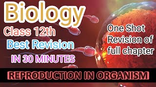 Biology class 12th Reproduction in organismsOne Shot RevisionBest Revision in 30 minutesBiology [upl. by Anivram]