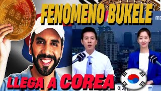 🚨INCREIBLE EL FENOMENO BUKELE LLEGA A COREA y le DEDICAN PROGRAMA de TV al PRESIDENTE de El SALVADOR [upl. by Natek969]