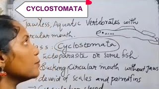 Class Cyclostomata in plus one zoology Chapter2 Animal kingdomzoology education plusonestudent [upl. by Wennerholn]