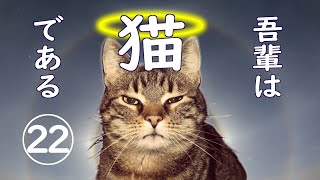 【朗読】吾輩は猫である22 最終回／夏目漱石 [upl. by Iruj]