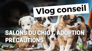 Salon du chiot adoption  précautions [upl. by Veda807]