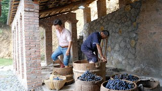 Making Wine in The Very Ancient Way Georgian Kvevri Wine Documentary [upl. by Eidnas]