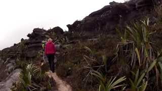 Walking Across the Top of Mount Roraima Venezuela [upl. by Rhodie386]