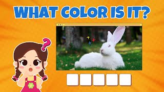 Guess The Color  What Color Is It  Color Game for Kids [upl. by Micro]