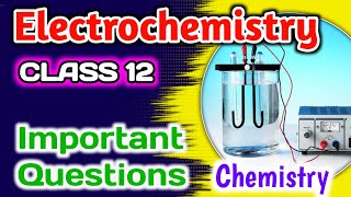 Electrochemistry  12 cbse board exam 2024  important questions for board exams cbse chemistry [upl. by Fortuna]