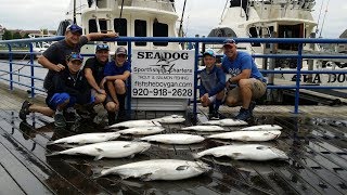 Sheboygan Charter Fishing Highlights 2017  Sea Dog Charters [upl. by Fabyola40]