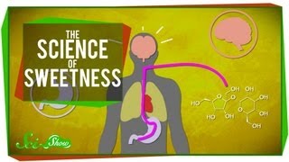 The Science of Sweetness [upl. by Joab]