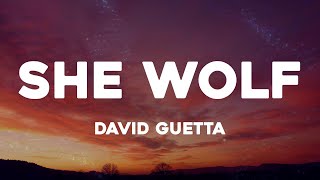 David Guetta  She Wolf Lyrics [upl. by Yelloh]