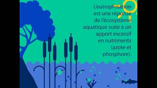 La pollution dans nos cours d’eau  halte à l’eutrophisation [upl. by Trinatte]