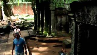 Templo Ta Prohm do filme Tomb Raider Em Angkor no Camboja [upl. by Ahsiner]