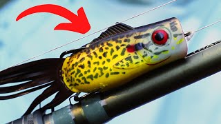 FROG Tricks That Will Catch BIG BASS [upl. by Israel]