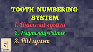 Tooth numbering system [upl. by Laughry]