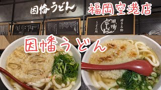 【福岡空港グルメ】【因幡うどん】愛される博多うどん人気うどん店の福岡空港店 [upl. by Clio]