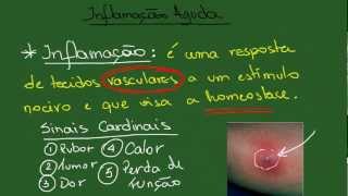 Inflamação Aguda  Resumo  Patologia Geral [upl. by Enoitna]