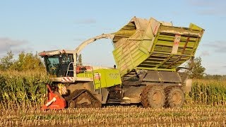 Claas Jaguar 900 FS on tracks  Loonw De Bruyne  mais 2013 [upl. by Ellerad195]