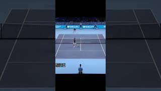 Federer  Ferrer Crazy Point [upl. by Cirre835]