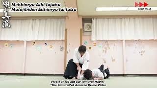 Meishinryu Aikido techniques 明真流 合気道の稽古 aikido 合気道 天照会 2024 1008 01 [upl. by Floyd423]