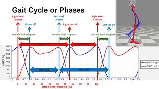 Spatial Temporal Gait Measures [upl. by Agneta]