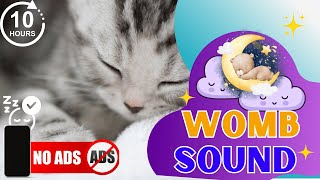 Womb Sound with Heartbeat 10 hour  Colic Relief for Babies  White Noise Black Screen No Ads [upl. by Nodearb]