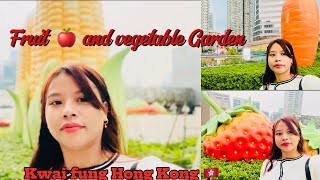 HONG KONG KO KWAI FONG GARDEN MA KK ROIX Ta 🤔🥕🍎🍅MAJJALE SHOPPING PONI VaYO🛍️ [upl. by Sad]