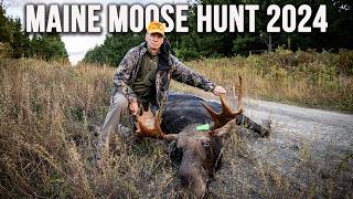 Quick Shot The Fastest Moose Hunt You’ll Ever See  Maine Moose Hunt 2024 [upl. by Showker341]