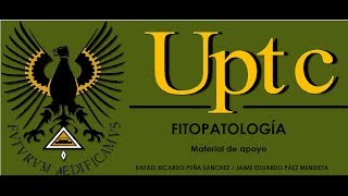 AISLAMIENTO DE HONGOS FITOPATÒGENOS [upl. by Nogam]