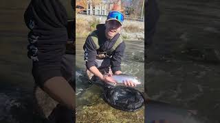 Lake Ontario Tributaries Steelhead Fishing [upl. by Ahseuqram]