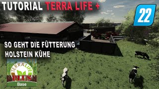 LS22  TerraLife  Tutorial  Fütterung der Holstein Kühe und Bullen [upl. by Germann]