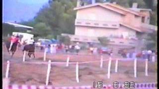 palio guasila 1992 [upl. by Neelahs133]