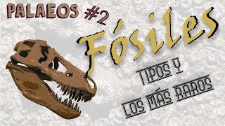 Palaeos programa 2 Tipos de fósiles  Paleodex  Dromornis [upl. by Ecire]