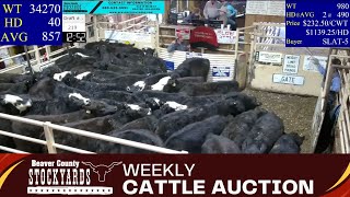 262024  Beaver County Stockyards Livestock Auction [upl. by Cocks787]