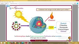 Biochimieبالعربية  5 Bioénergétique  Part 1 Généralités  La thermodynamique [upl. by Aicilef]