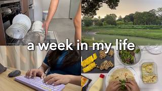 life in singapore 💻🥕🍣🧽 introvert’s 85 wfh rainbowhome cooked meal ideas singapore wfh vlog [upl. by Chally]