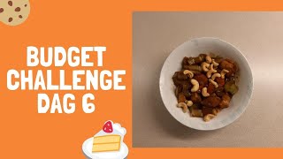 Budgetchallenge dag 6 een wokgerecht met kip 172 [upl. by Assertal]