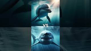 Great White Shark vs Dolphin vs  Orcas megalodon hammer head shark polar bear sperm whale [upl. by Alger]