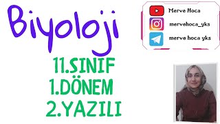 11SINIF BİYOLOJİ 1DÖNEM 2YAZILI [upl. by Ssidnac]