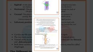 Human Anatomy and Physiology chapter 1 Notes dpharma dpharmanotes hapnotes [upl. by Eed]