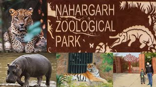 Nahargarh Zoological and Biological Park Jaipur  Jaipur Zoo Wildlife नाहरगढ़ आमेर  PGP Creation [upl. by Hertzfeld]