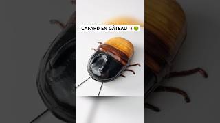 CAFARD EN GÂTEAU 🪳🤢 [upl. by Ymirej]