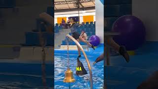 O incrível show da menina com o golfinho 🐬👧 [upl. by Yennej]