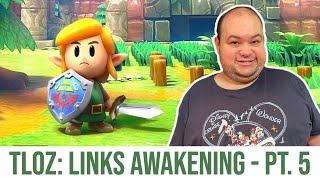 Douglas Plays LOZ Links Awakening Pt 5 [upl. by Taro936]