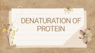 Denaturation of Protein  Microbiology  Biochemistry [upl. by Aenej195]